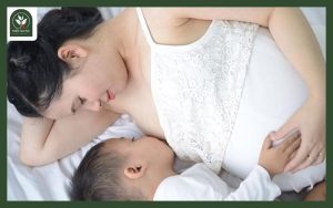 Nên uống trà thảo mộc khi nào