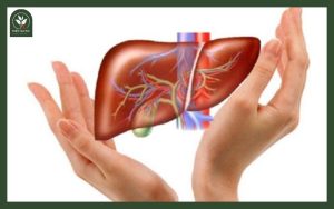 Trà thảo mộc mát gan