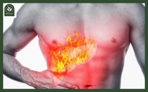 Trà thảo mộc mát gan