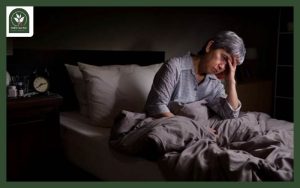 Trà thảo mộc trị mất ngủ