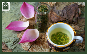 trà thảo mộc 