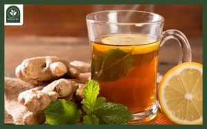 Các loại trà thảo mộc