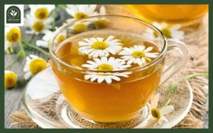 Các loại trà thảo mộc