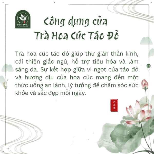 Trà Hoa cúc táo đỏ