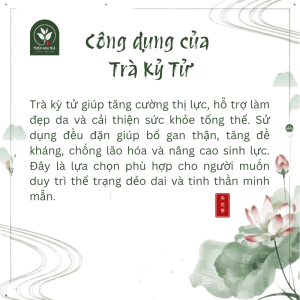Trà Kỳ Tử