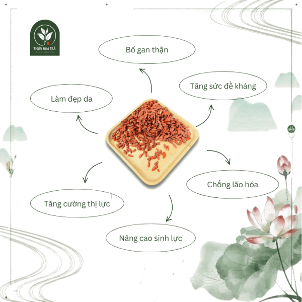 Trà Kỳ Tử