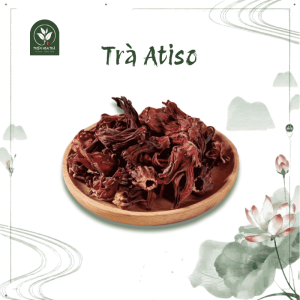 trà atiso