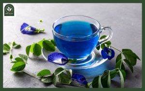 Trà hoa đậu biếc
