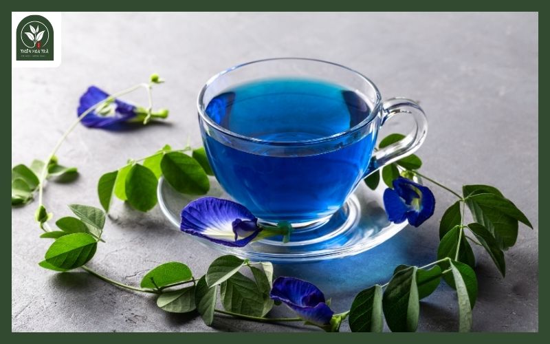 Trà hoa đậu biếc